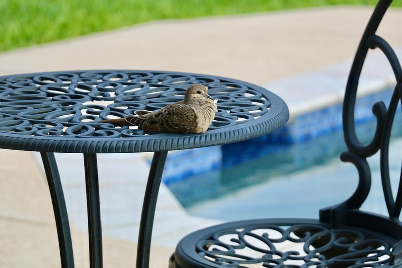 Patio Furniture Makeovers
